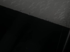 แผ่นโพลีสไตรีน