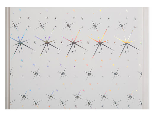 แผ่นผนังกันน้ำราคาประหยัดสำหรับห้องน้ำขนาด 25 ซม. กว้าง 30 ซม